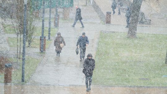 Opady śniegu w Lublinie