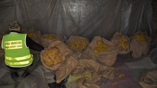 Skonfiskowany tytoń