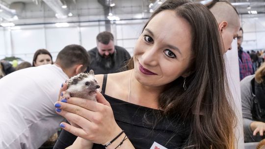ZOOPARK Lubelska Wystawa i Targi Zoologiczne