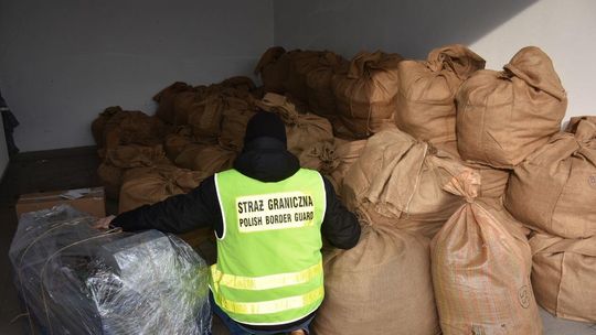 Zabezpieczony tytoń i kusza