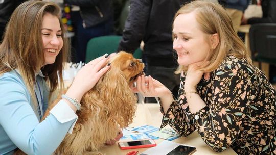 Wyższa Szkoła Społeczno-Przyrodnicza w Lublinie zorganizowała Dzień Kariery Wyższa Szkoła Społeczno-Przyrodnicza w Lublinie zorganizowała Dzień Kariery