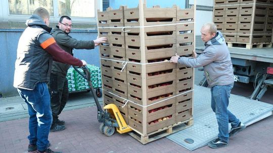 COZL: dostawa owoców i nabiału na potrzeby szpitalnej kuchni COZL: dostawa owoców i nabiału na potrzeby szpitalnej kuchni