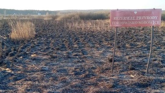 Pożar w rezerwacie przyrody Sobowice