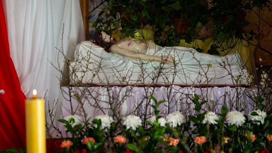 Kościół pw. Miłosierdzia Bożego w Zamościu