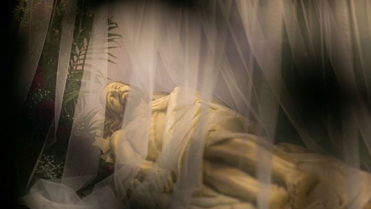 Katedra Zmartwychwstania Pańskiego i św. Tomasza Apostoła w Zamościu