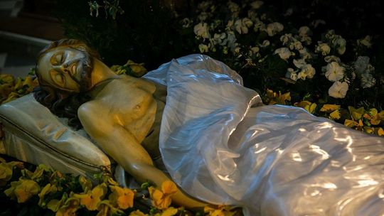 Kościół Rektoralny pw. Św. Katarzyny w Zamościu