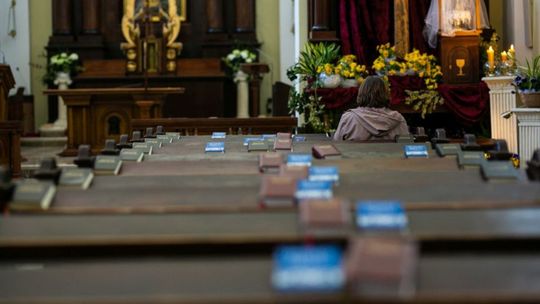 Kościół Rektoralny pw. Św. Katarzyny w Zamościu