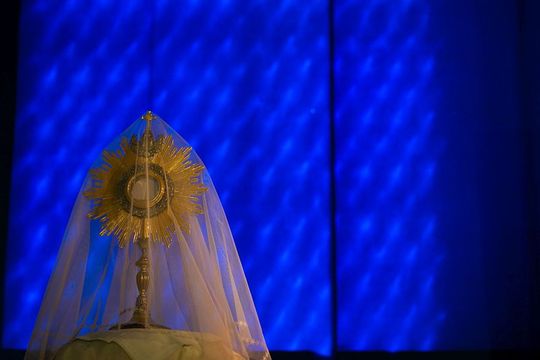 Katedra Zmartwychwstania Pańskiego i św. Tomasza Apostoła w Zamościu