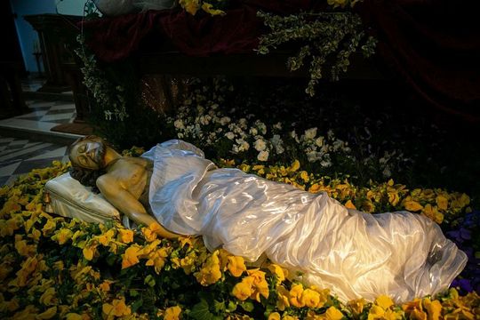 Kościół Rektoralny pw. Św. Katarzyny w Zamościu