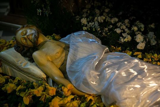 Kościół Rektoralny pw. Św. Katarzyny w Zamościu