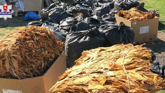 Nielegalne wyroby na jednej z posesji w gminie Wojciechów