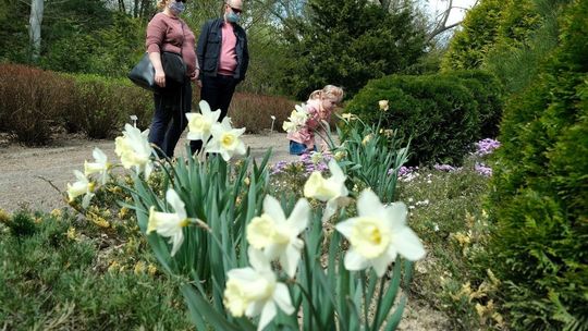 Ogród Botaniczny UMCS od soboty otwarty dla zwiedzających
