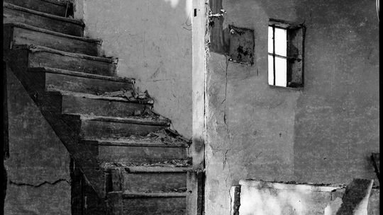 Fotografie Mariusza Tomczuka