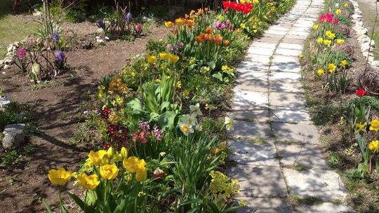 Ogród czytelnika przed i po gradzie 