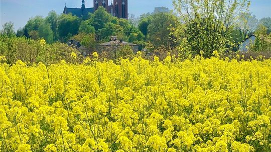 Piękna Lubelszczyzna - zdjęcia Czytelników Piękna Lubelszczyzna - zdjęcia Czytelników