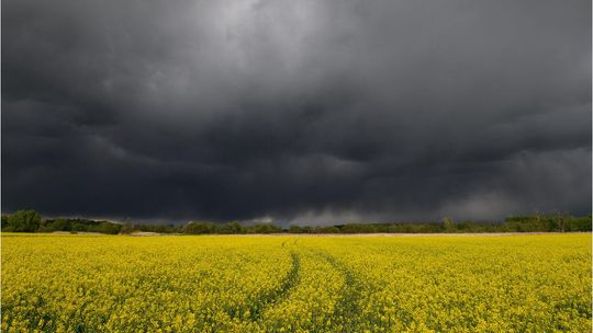 Okolice rzeki Bystrzyca
