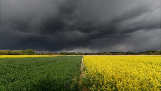 Okolice rzeki Bystrzyca