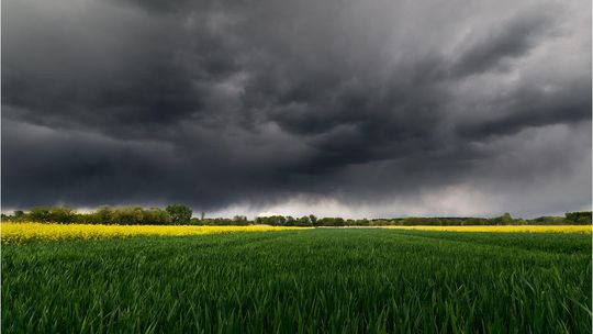 Okolice rzeki Bystrzyca