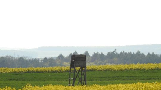 Gmina Siennica Różana