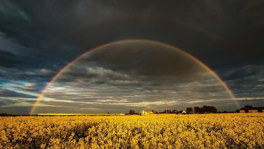 Lubelskie w obiektywie