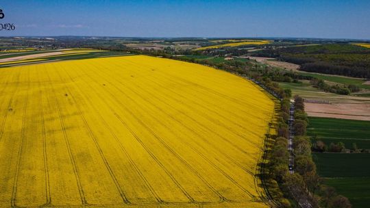 Lubelskie w obiektywie