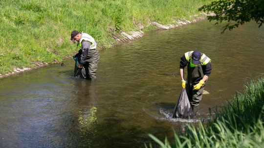 Sprzątanie Łabuńki