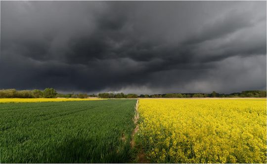 Okolice rzeki Bystrzyca