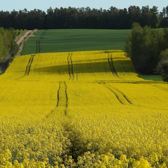 Gmina Siennica Różana