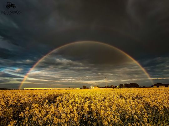 Lubelskie w obiektywie