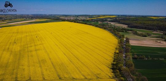 Lubelskie w obiektywie