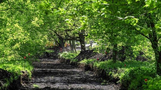 Co się dzieje w parku Ludowym w Lublinie
