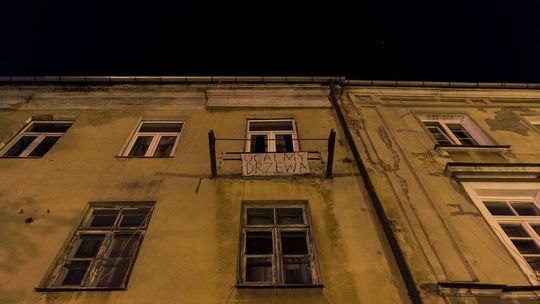 Transparenty w oknach, kartki na drzewach. Przeciwko wycince