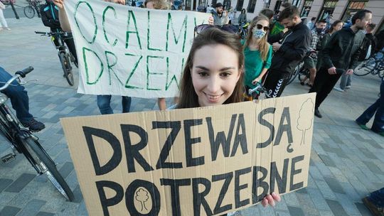 Protest w obronie drzew z ul. Lipowej przed lubelskim ratuszem