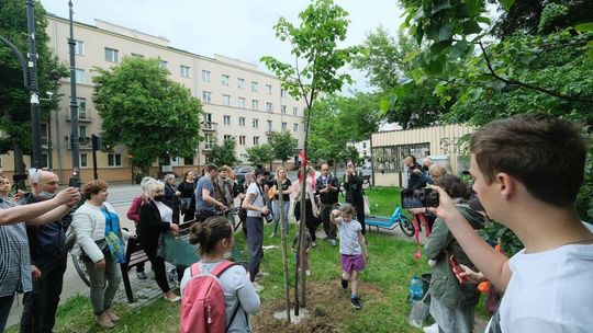 Piątkowa akcja obrońców drzew przy ul. Lipowej w Lublinie