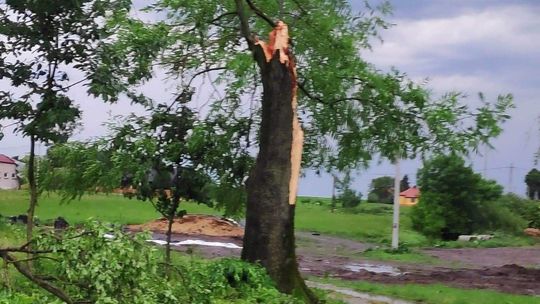 Burze w woj. lubelskim 11.06