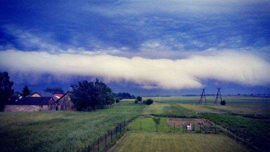 Łysołaje k. Milejowa