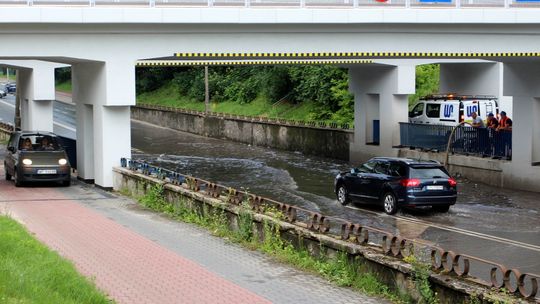 Zalana al. Partyzantów w Puławach