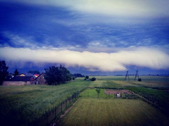 Łysołaje k. Milejowa