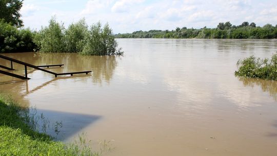 Wisła w Puławach. 25 czerwca