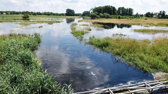 Rzeka Tarasienka (pow. włodawski) wystąpiła z koryta Rzeka Tarasienka (pow. włodawski) wystąpiła z koryta
