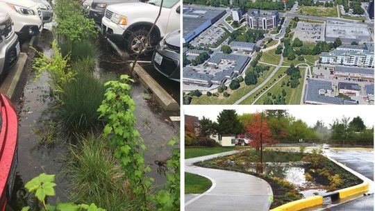 Ogrody deszczowe na Rurach Ogrody deszczowe na Rurach