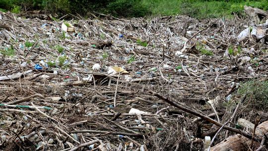 Sterty śmieci nad Wisłą 