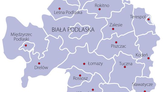 Wyniki wyborów prezydenckich. Jak głosowała Twoja gmina, miasto i powiat