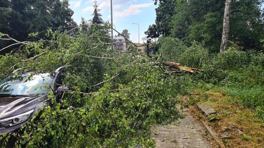 Nawałnica nad Zamościem i okolicami