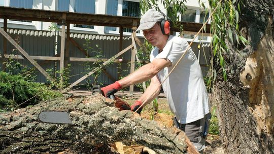 Piły, wióry, trociny. Wielkie sprzątanie po nawałnicy w Lublinie