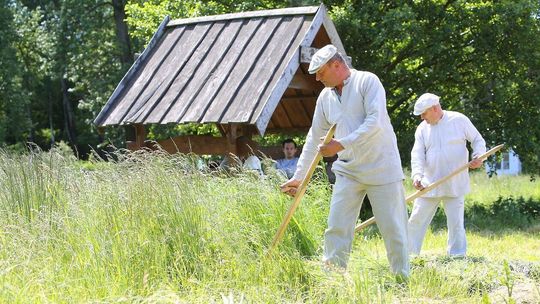 Lubelskie: Najczęściej wyszukiwane atrakcje wg Google Trendy