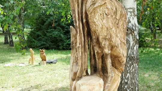 Plener rzeźbiarski Nad Bystrzycą Plener rzeźbiarski Nad Bystrzycą