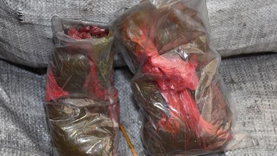 Udaremniony przemyt metaamfetaminy Udaremniony przemyt metaamfetaminy