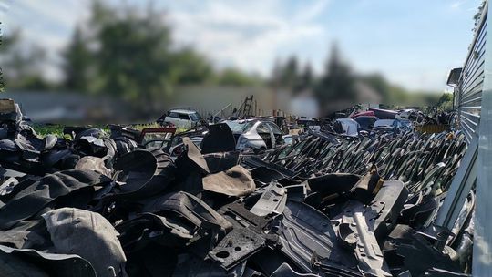 „Dziupla samochodowa