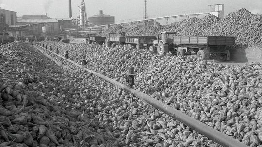 Cukrownia w Lublinie